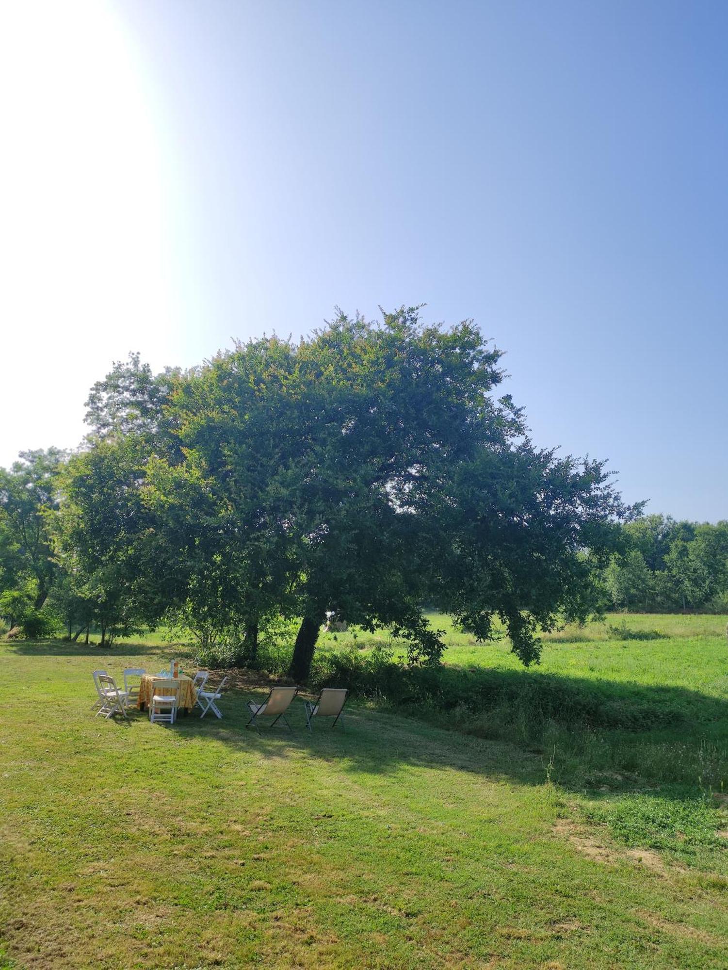 Appartamento Il Picchio Verde อัลโตพาสซิโอ ภายนอก รูปภาพ